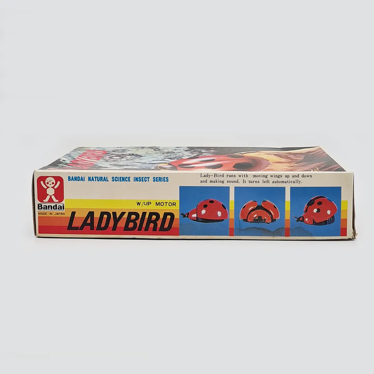 Lady Bird Bandai 1